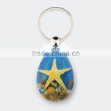2016 New Lovely Beautiful Key Chain for Promotion Gift With Real Sealife thumbnail-3