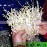 Hot Sales Automatic Equipments for Shoots /peas /radish /alfalfa Sprouts Cultivate thumbnail-2