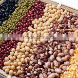 Best Sela China Cleaning Machine for Peas,beans,chickpea,barley,rice,wheat,corn,grain for Sale thumbnail-3