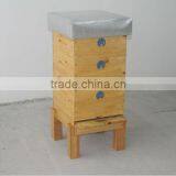 Dadant Blatt , Complete Beehive thumbnail-1