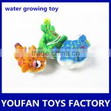 colorful animal stuffed plush grow expand water toys