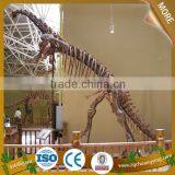 Stegosaurus Dinosaur Fossils for Sales thumbnail-2