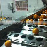 Round Fruit Roller Classifier