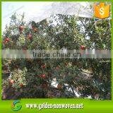 PP Agricultural Nonwoven Fabric, Anti UV Treated pp Spunbond Non-woven Fabric, Agriculture Nonwoven Fabric for Fruit,plant thumbnail-4