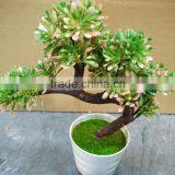 Mini Artificial Plant Bonsai High Quality for Decoration Plant thumbnail-1