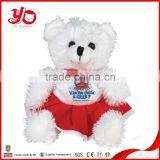 Manufacturer of Youth Olympic Games Mascot, Custom Soft Teddy Bear Plush Toy thumbnail-4