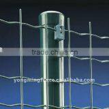 Wire Mesh Fence
