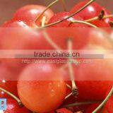 Acid Etched Glass Frosted Glass thumbnail-1