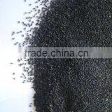 Thai Sweet Basil thumbnail-4