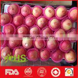 China hot sale fresh sweet fuji apple fruit
