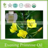 factory manufacturer gmp grade edible evening primrose extract seed oil