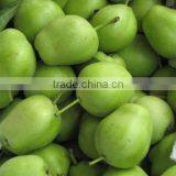 Bagged su Pear/green Colour thumbnail-1