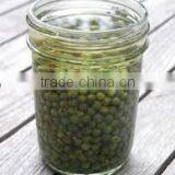 Green Pepper In Brine thumbnail-2