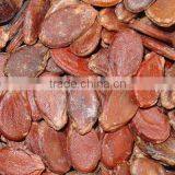 Red Melon Seeds