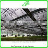 Hot Sale Tropical Greenhouse thumbnail-6