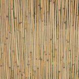 Bamboo Style Rolled Woven Reed Fence for Garden Decoration thumbnail-4