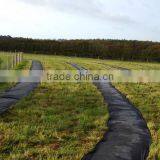 Black Plastic Ground Cover / pp Woven Landscape Fabric / Weed Control Fabric thumbnail-2