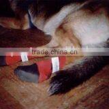 Neoprene Dog Shoes thumbnail-1