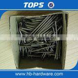 Common Nail thumbnail-6