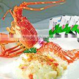 BRC Wasabi Paste thumbnail-2