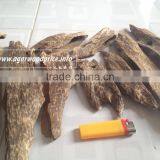 Agarwood Chunks Supplier thumbnail-1