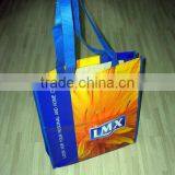 Non Woven Bag thumbnail-1