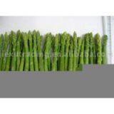 Sell IQF Green Asparagus thumbnail-1