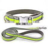New Lettering Reflective Nylon Webbing Pet Collar Dog Collar Traction Rope thumbnail-5