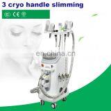 5 Handles Double Chin Fat Freezing Body Contoring Machine Cellulite Device thumbnail-4