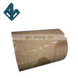 AISI ASTM Colored Galvanized Steel Coil Color Coated Steel Sheet/Coil thumbnail-5