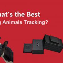 Shenzhen GPSONE Technology Co., Ltd. company overview - view 2 thumbnail