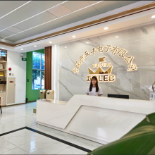 Dongguan WuFeng Electronics Co., Ltd. company overview - view 1 thumbnail