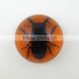 2016 New Latest Design Novel Wholesale Funny Paperweight thumbnail-2