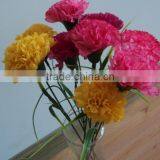 Hot Selling New Design Beautiful Artificial Carnations For Mother's Day