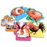 PP Sheet pp Hollow Sheet PET Sheet Packaging Box Raw Materials thumbnail-2