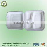Disposable Sugarcane Pulp 3-comp Food Box
