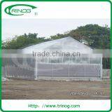 Pepper Film Greenhouse for Tropic Area thumbnail-1