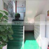 Dongguan Qishi Huanyu Sports Goods Factory company overview - view 1 thumbnail