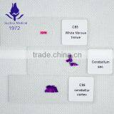 100pcs Most Popular Histology Slides thumbnail-1