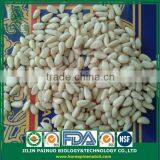 Wholesale Factory Direct Top Quality Chines Red Korean Pine Nut Kernels thumbnail-1