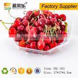 Promotional Transparent Plastic Pet Tray thumbnail-5