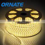 Outdoor Waterproof 220V High Voltage Flex LED Strip 100M for Engineer