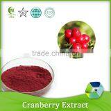 100% Natural Extracts Manufacturer Supply Natural Cranberry Extract