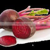 Beet Root Powder thumbnail-3
