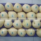 2011 best quality and lowest price ya pear (from china)
