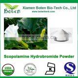 Factory Supply USP 99% Scopolamine HBR