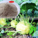 Humic Acid+amino Acid Organic Fertilizer thumbnail-3