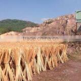 VIETNAMESE BROOM STICK - 100% NATURAL WOODEN BROOM STICK WITH TOP QUALITY thumbnail-1