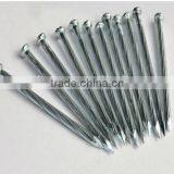 1-4 Inch Galvanized Concrete Steel Nail Screw Shank Steel Nails From Factory thumbnail-3