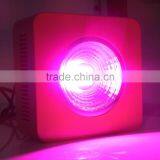 2015 Newest! Hot Sale Full Spectrum COB Led Grow Light,200W Led Grow Light thumbnail-2